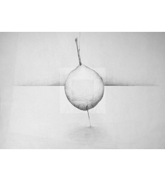 Estudio de luz Limon 1